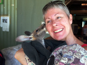 NYCFCI volunteer, Megan Wisdom, helps community cats in New York City, but she recently had a chance to share some love with a kangaroo in Australia.