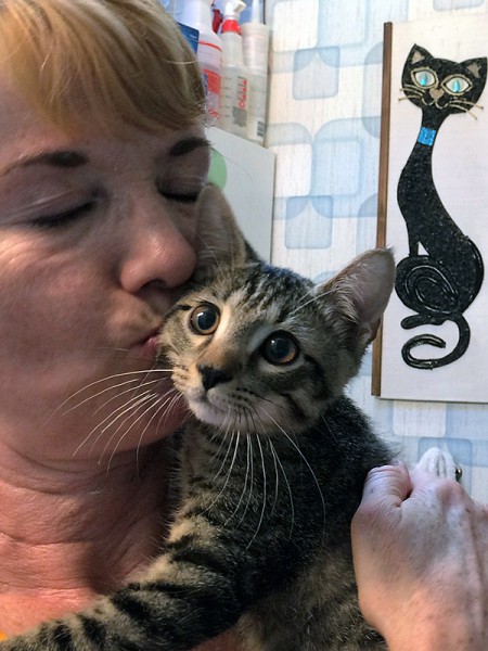 Kathleen O'Malley from the NYC Feral Cat Initiative of the Mayor's Alliance for NYC's Animals cuddles with Keanu the kitten. Keanu was adopted and renamed Taco.