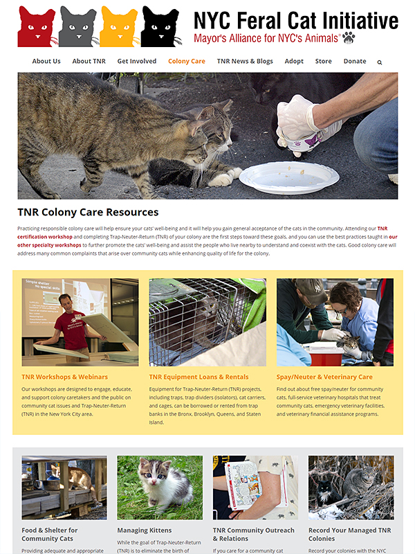 NYC Feral Cat Initiative website