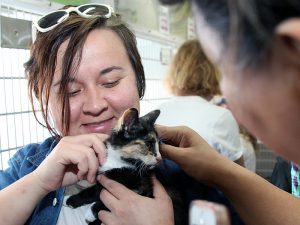 Potential adopters had the opportunity to meet pets from more than 30 animal shelters and rescue groups in one place at Adoptapalooza in Union Square on May 21, 2017. (Photo by Rick Edwards)