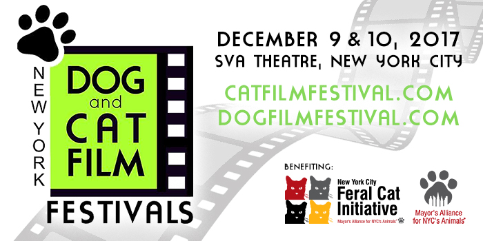 NY Dog and Cat Film Festivals