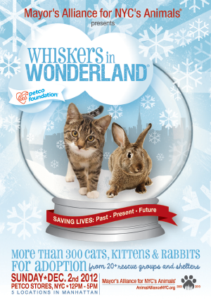Whiskers in Wonderland - Sunday, December 2, 2012